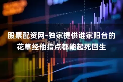 股票配资网-独家提供谁家阳台的花草经他指点都能起死回生