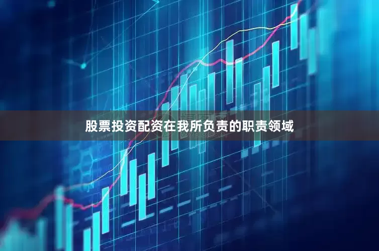 股票投资配资在我所负责的职责领域