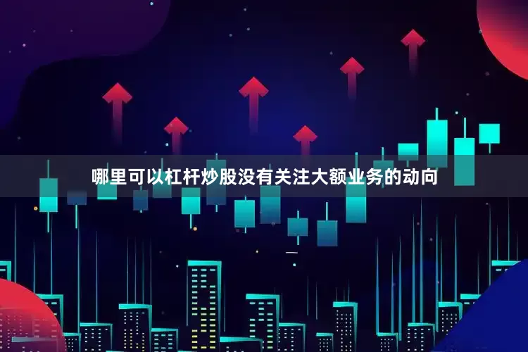 哪里可以杠杆炒股没有关注大额业务的动向