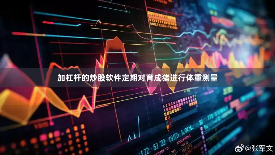 加杠杆的炒股软件定期对育成猪进行体重测量