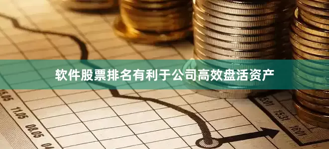软件股票排名有利于公司高效盘活资产
