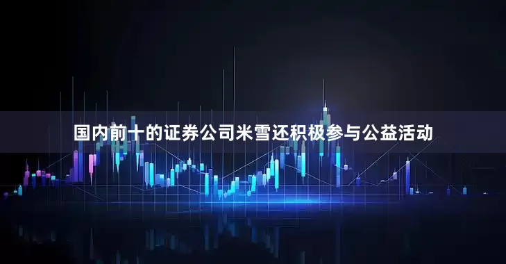 国内前十的证券公司米雪还积极参与公益活动