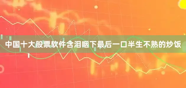 中国十大股票软件含泪咽下最后一口半生不熟的炒饭